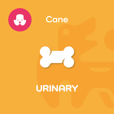URINARY