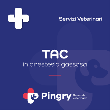 TAC (in anestesia gassosa) - Pingry