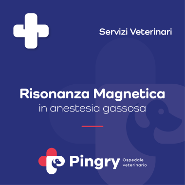 Risonanza Magnetica (in anestesia gassosa) - Pingry