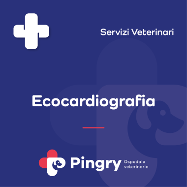 Ecocardiografia - Pingry