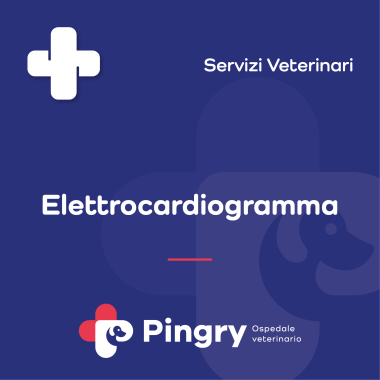 ECG - Elettrocardiogramma - Pingry