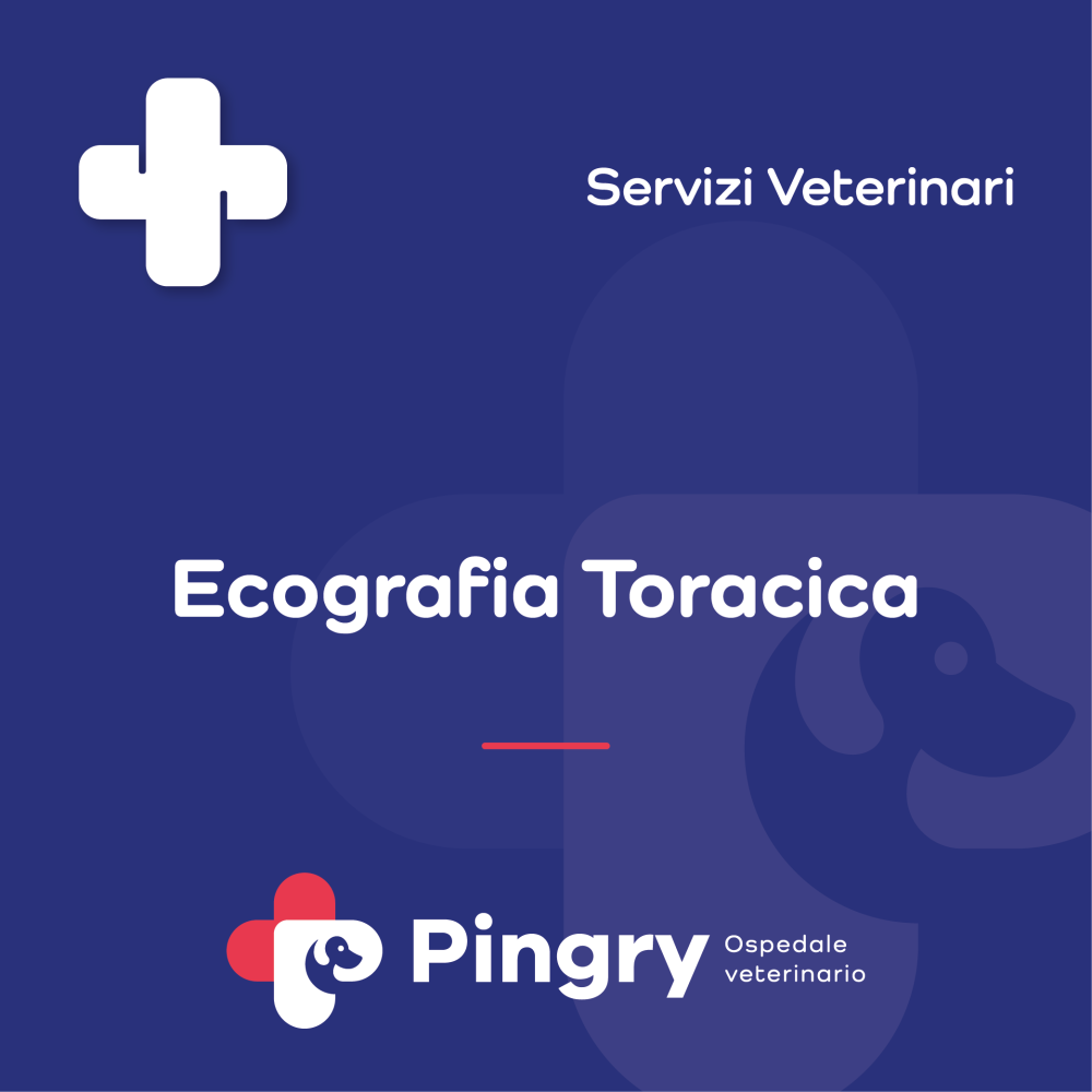 Ecografia Toracica - Pingry