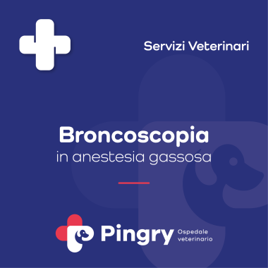 Broncoscopia (in anestesia gassosa) - Pingry