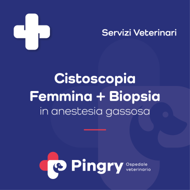 Cistoscopia Femmina + Biopsia (in anestesia gassosa) - Pingry