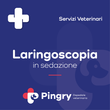Laringoscopia (in sedazione) - Pingry