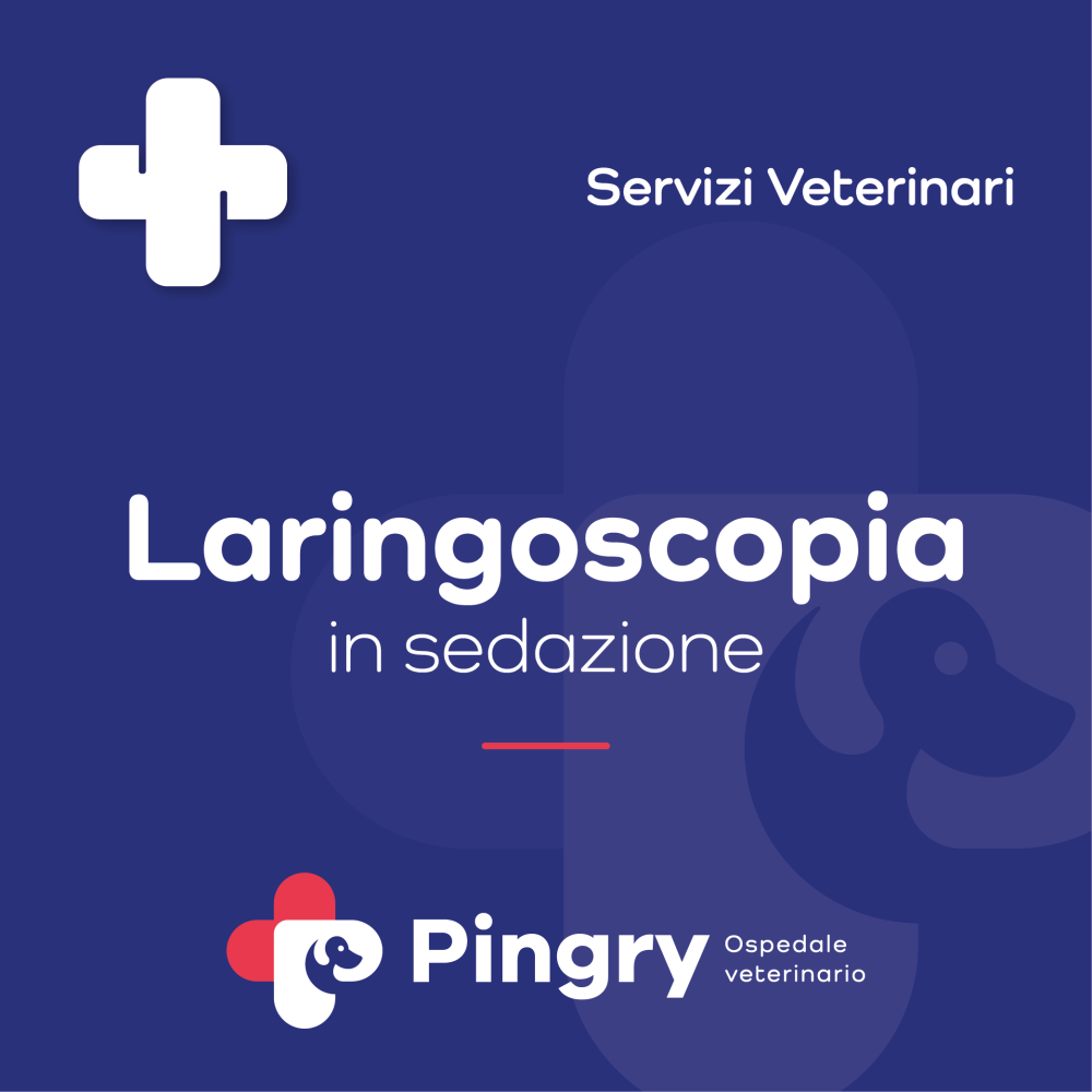Laringoscopia (in sedazione) - Pingry