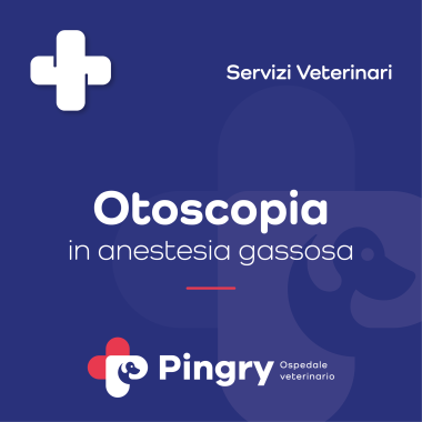 Otoscopia (in anestesia gassosa) - Pingry