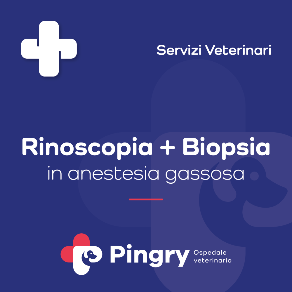 Rinoscopia + Biopsia (in anestesia gassosa) - Pingry