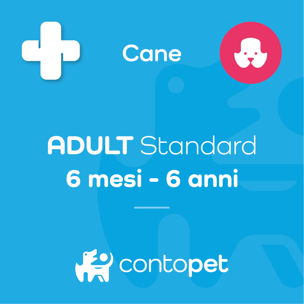 ADULT Standard (Cane)