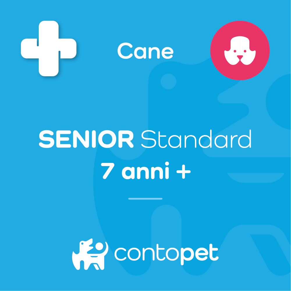 SENIOR Standard (Cane)
