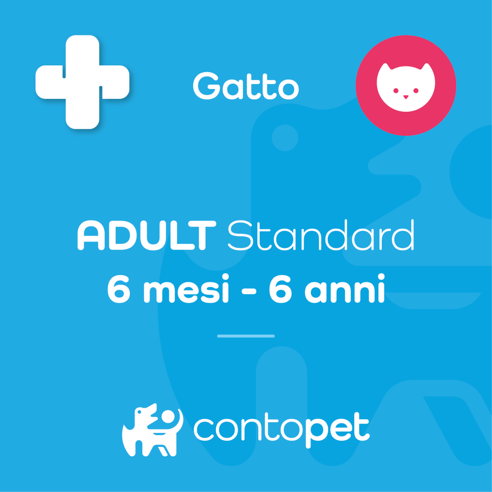 ADULT Standard (Gatto)