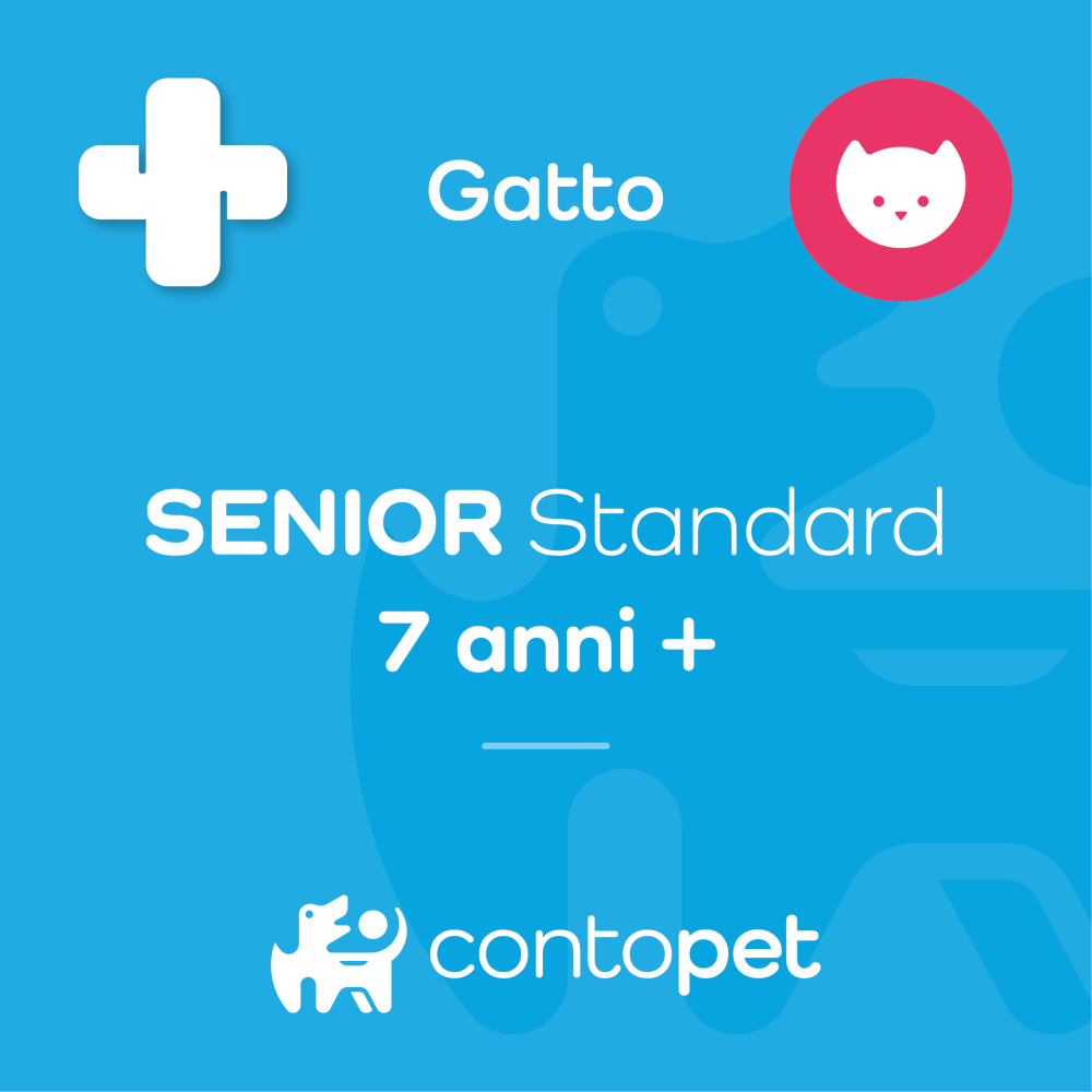 SENIOR Standard (Gatto)