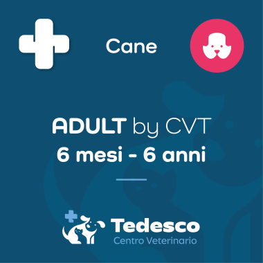 ADULT by CVT (Cane)
