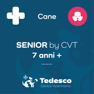 SENIOR by CVT (Cane)