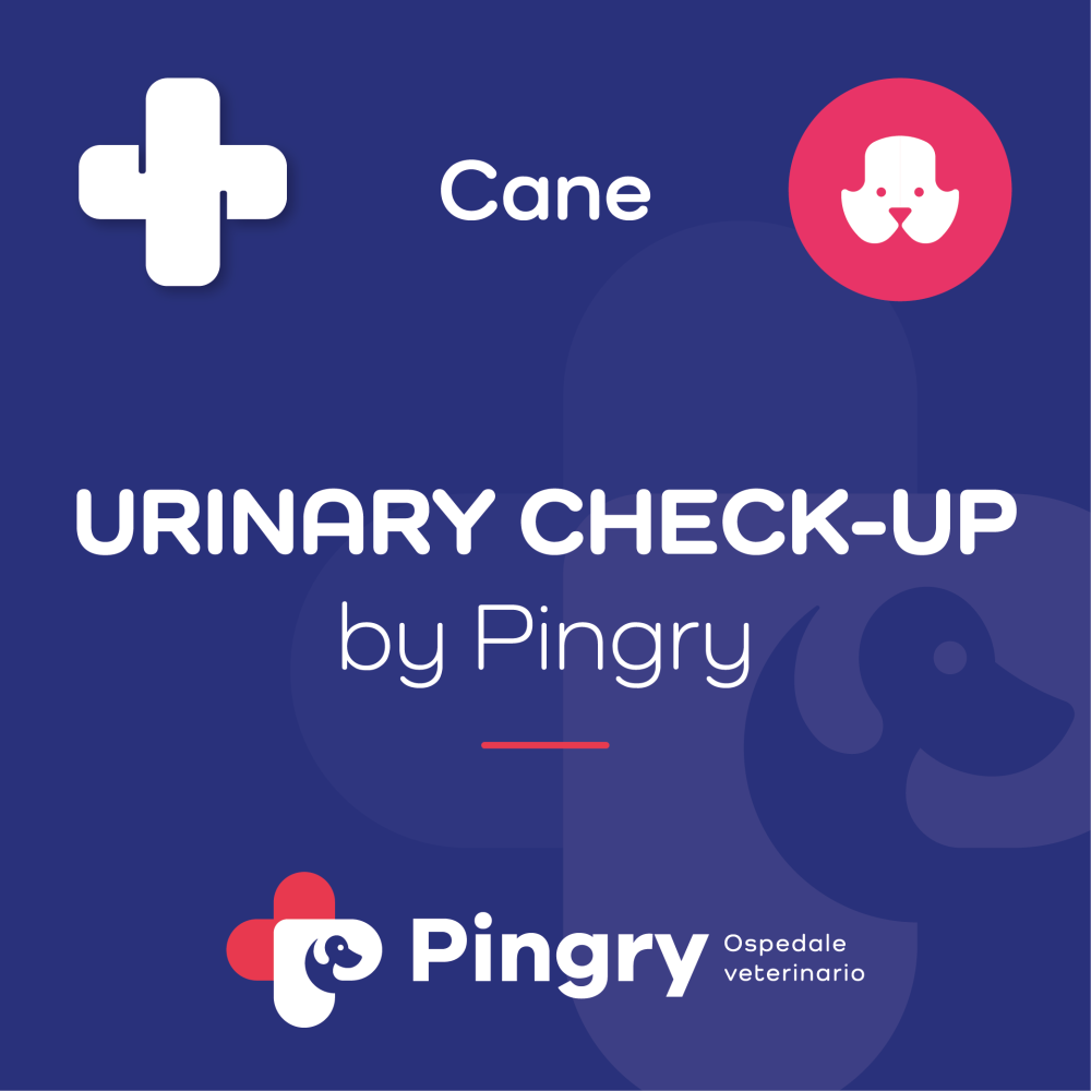URINARY CHECK-UP by Pingry (Cane)