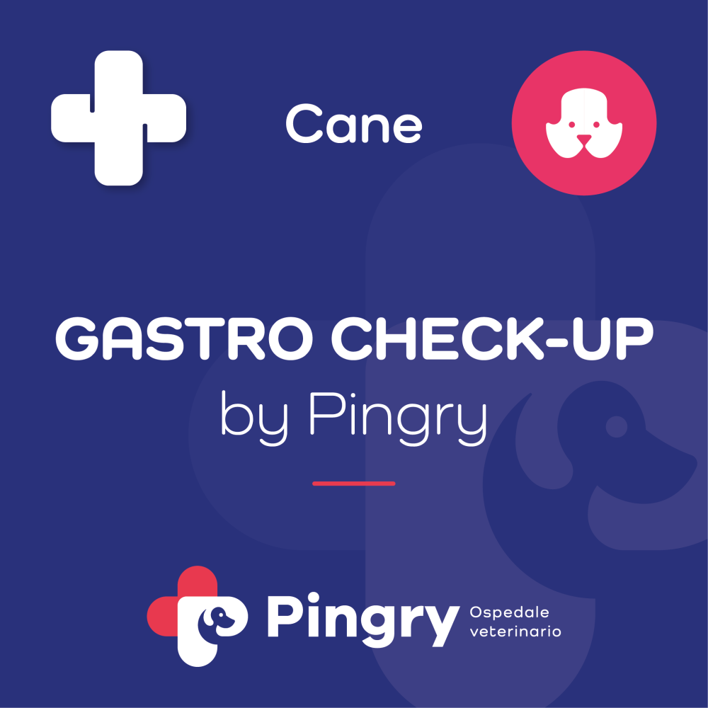 GASTRO CHECK-UP by Pingry (Cane)