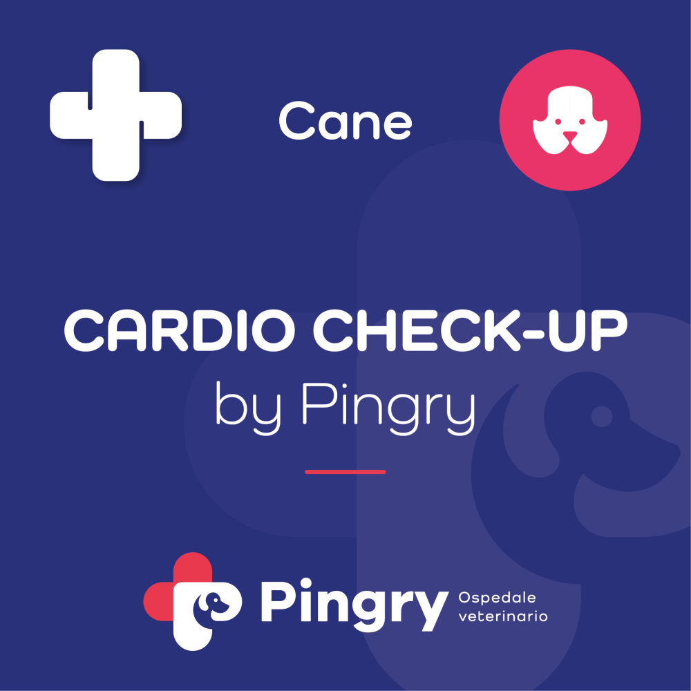 CARDIO CHECK-UP by Pingry (Cane)