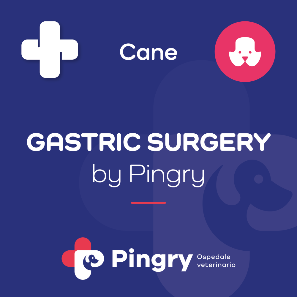 GASTRIC SURGERY by Pingry (Cane)