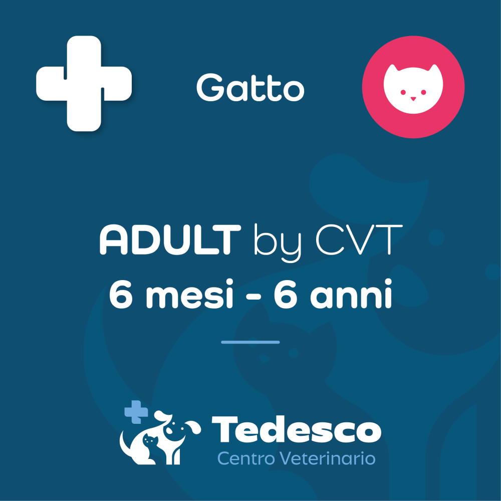 ADULT by CVT (Gatto)