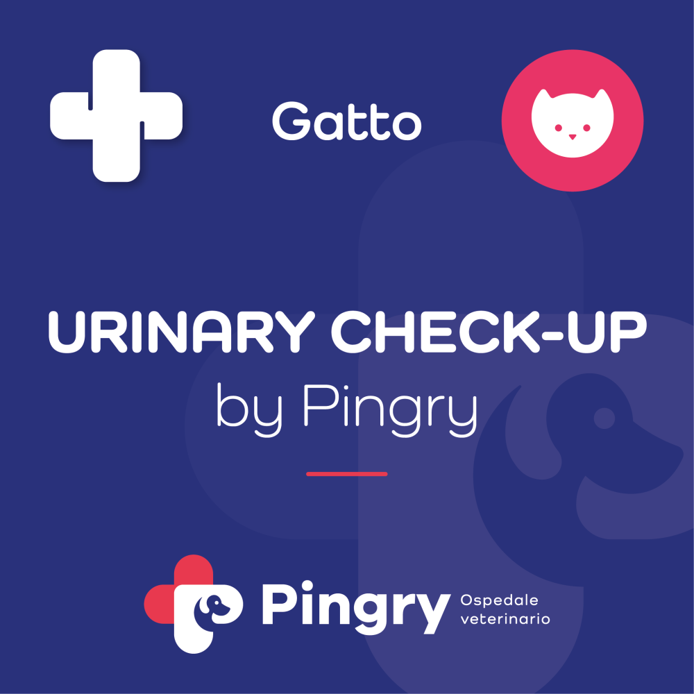 URINARY CHECK-UP by Pingry (Gatto)