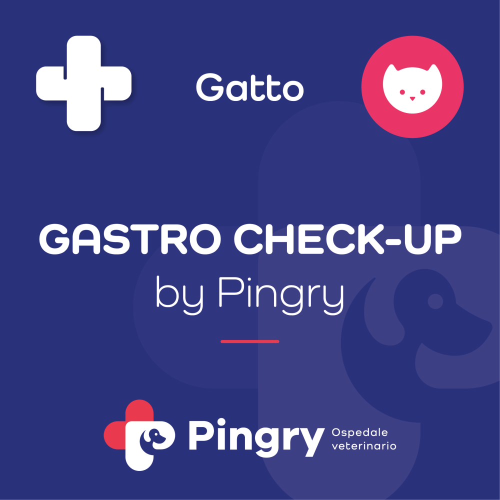 GASTRO CHECK-UP by Pingry (Gatto)