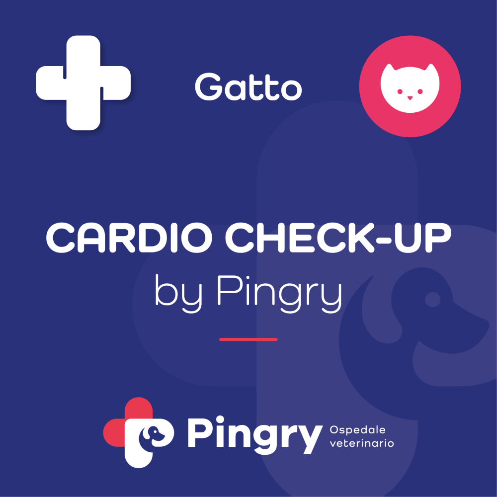 CARDIO CHECK-UP by Pingry (Gatto)